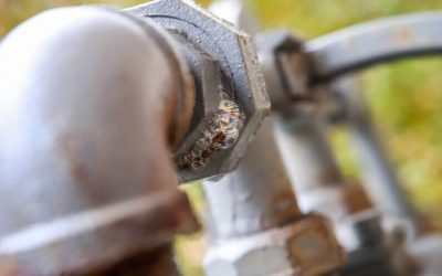 How Can You Tell If You Need Natural Gas Line Repair?