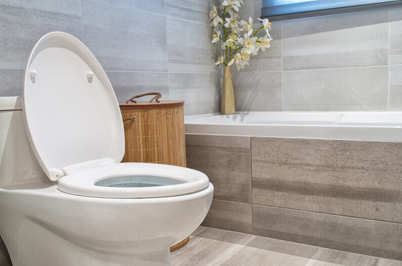 What To Do When Your Toilet Is Blocked & How To Fix It! ‐ Botanical  Plumbing Services