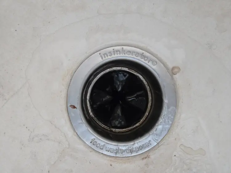 How to unclog a drain at the kitchen sink: looking down into an InSinkErator garbage disposal, the first thing to check