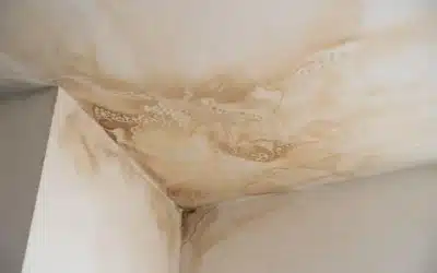 Leaky Pipe Signs: How to Find a Water Leak in Your New Orleans Home